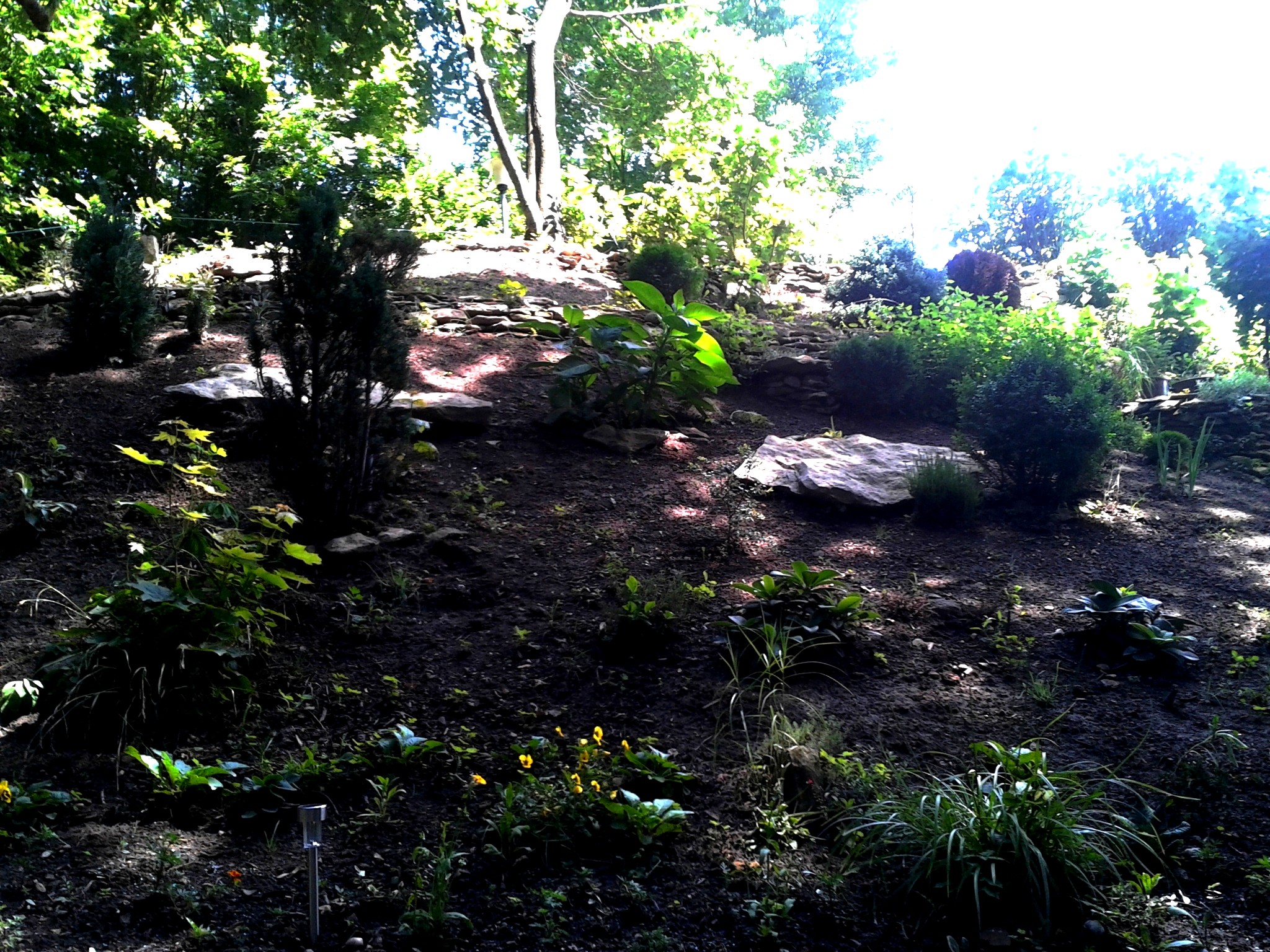2014-07-03 13.07.54